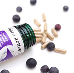 Viproactive  Pflanzenextraktion