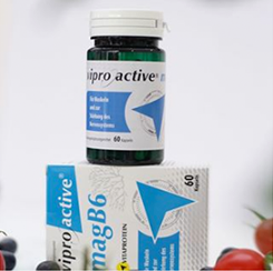 Viproactive Magnesium B6