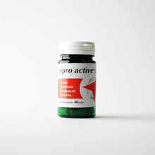 Laden Sie das Bild in den Galerie-Viewer, Viproactive Complex