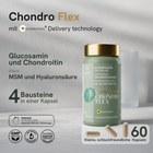 Viproactive® Chondro Flex – Ansicht 2