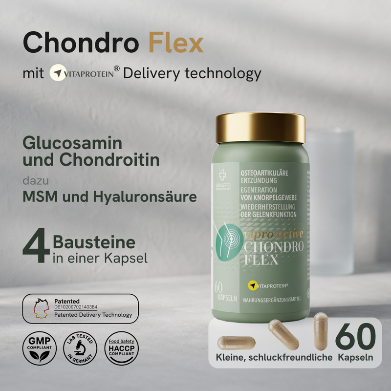 Viproactive® Chondro Flex – Ansicht 2