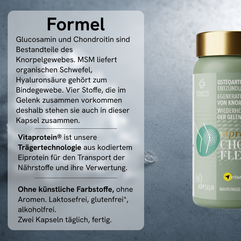 Viproactive® Chondro Flex – Ansicht 4