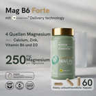 Viproactive® Mag B6 Forte – Ansicht 2