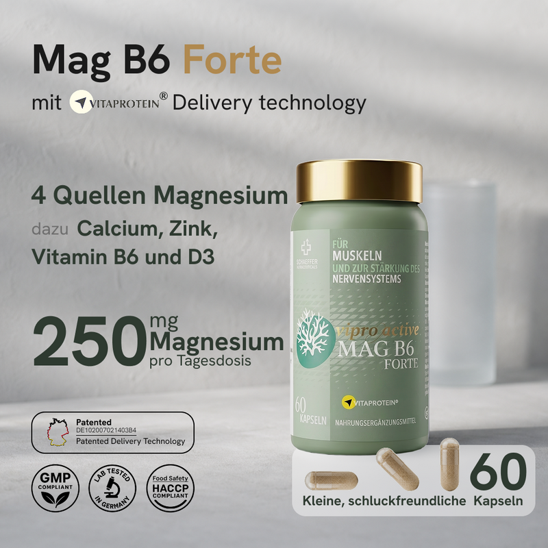 Viproactive® Mag B6 Forte – Ansicht 2