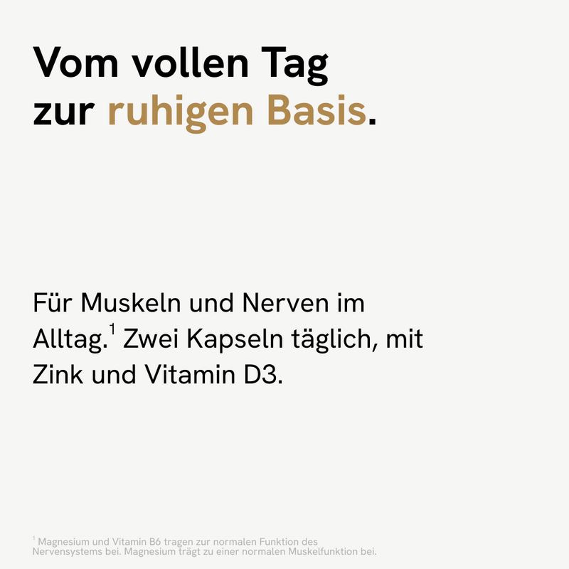 Viproactive® Mag B6 Forte – Ansicht 3