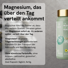 Viproactive® Mag B6 Forte – Ansicht 5