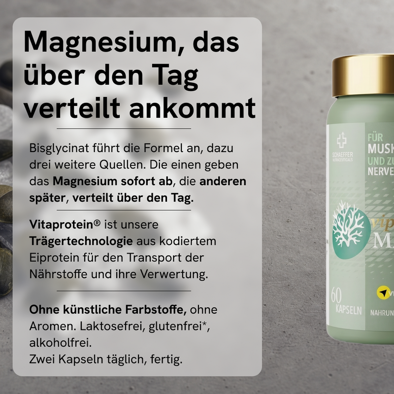 Viproactive® Mag B6 Forte – Ansicht 5