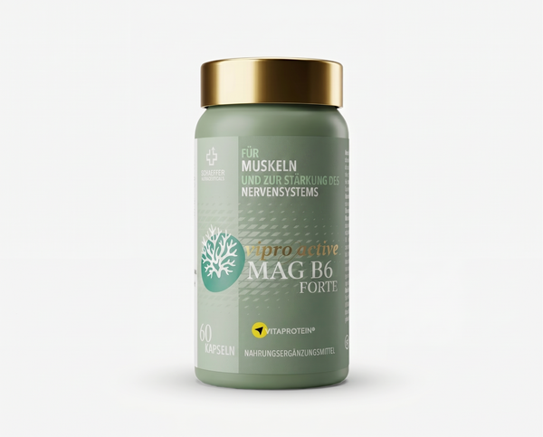 Viproactive® Mag B6 Forte