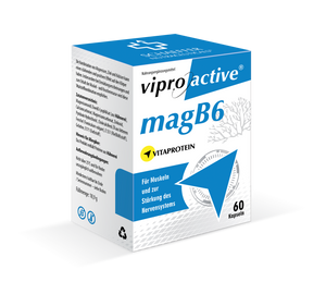 Viproactive® MagB6 - Schaeffer Nutraceuticals